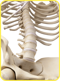 magic moringa benefits