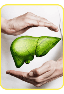 moringa magic for liver health