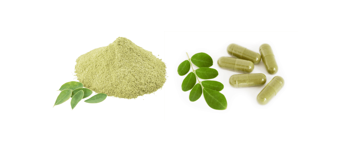 moringa magic ingredients
